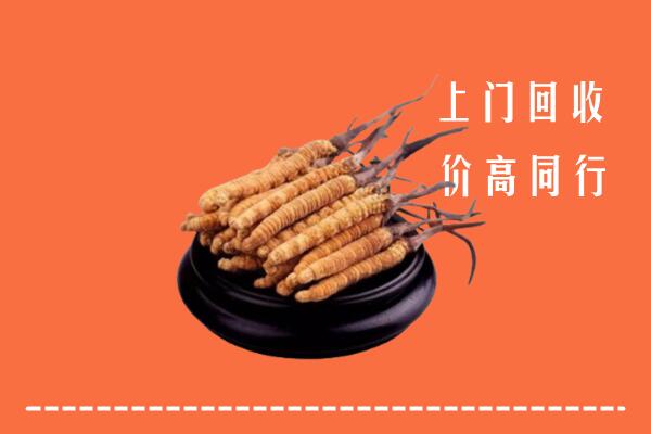 附近收购：华亭市冬虫夏草回收多少钱每克