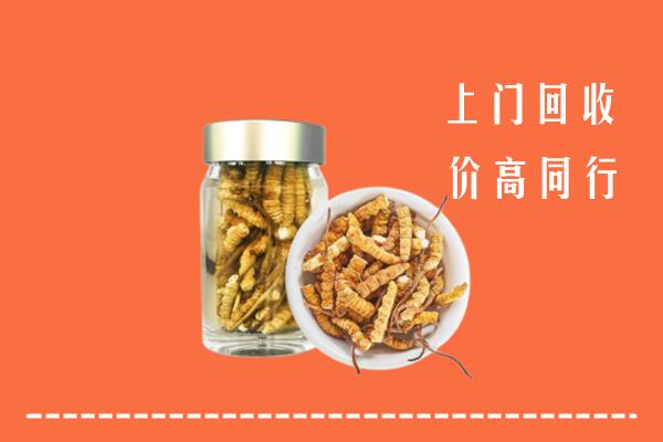 附近收购：华亭市回收冬虫夏草